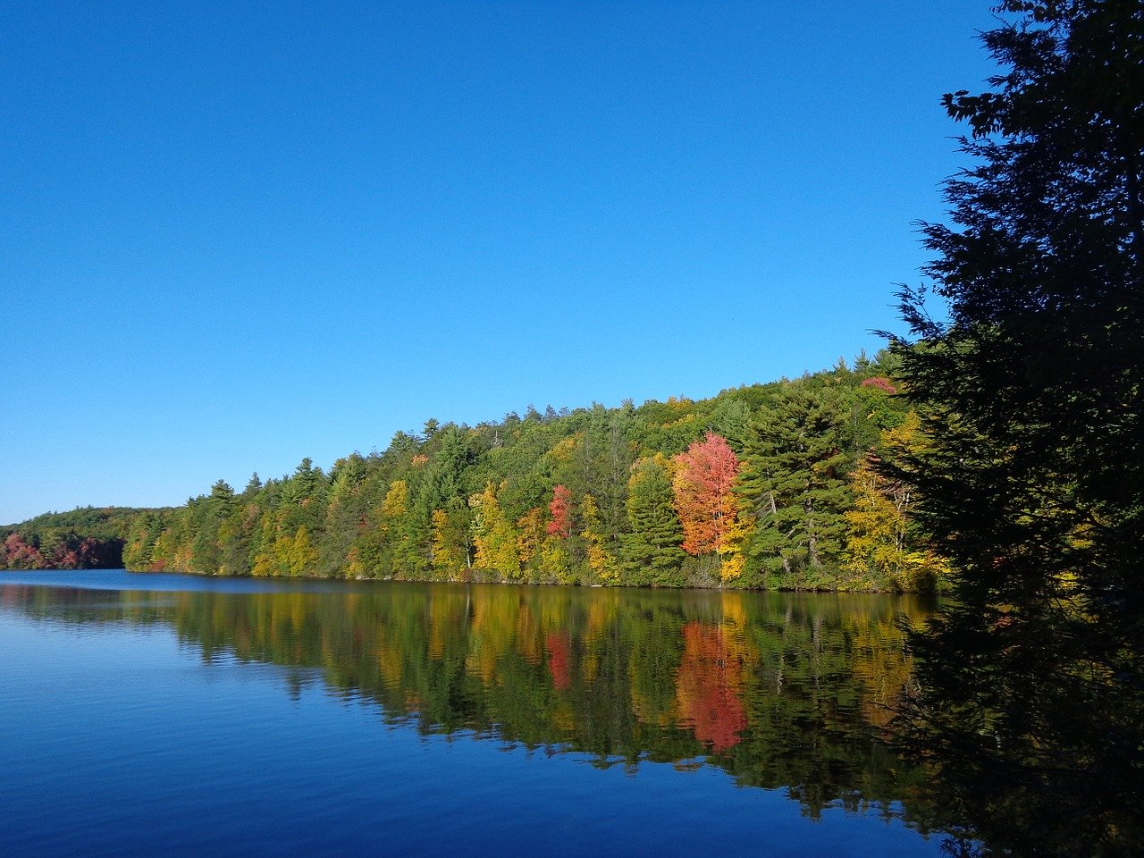 fall, autumn, river